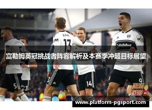 富勒姆英冠挑战者阵容解析及本赛季冲超目标展望