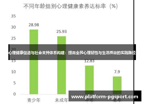 心理健康促进与社会支持体系构建：提高全民心理韧性与生活质量的实践路径