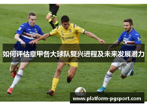 如何评估意甲各大球队复兴进程及未来发展潜力
