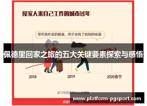 佩德里回家之旅的五大关键要素探索与感悟