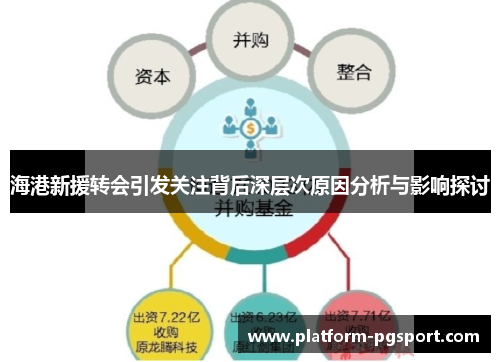 海港新援转会引发关注背后深层次原因分析与影响探讨