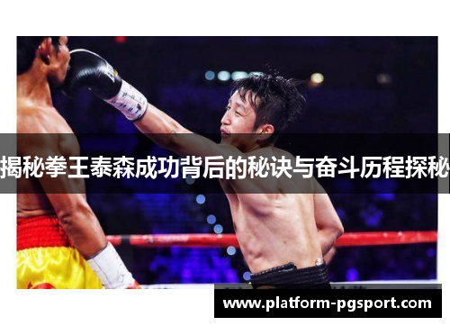 揭秘拳王泰森成功背后的秘诀与奋斗历程探秘