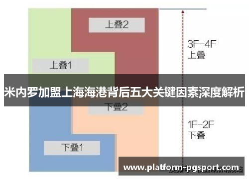 米内罗加盟上海海港背后五大关键因素深度解析