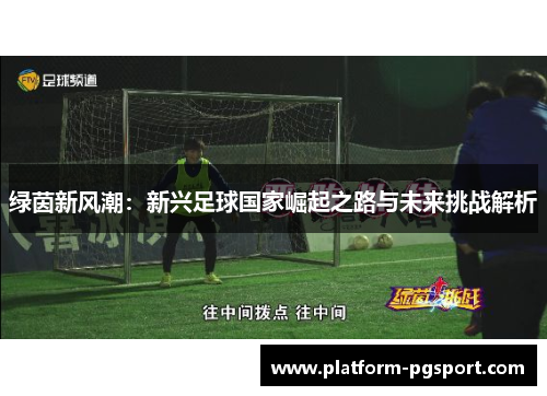 绿茵新风潮：新兴足球国家崛起之路与未来挑战解析