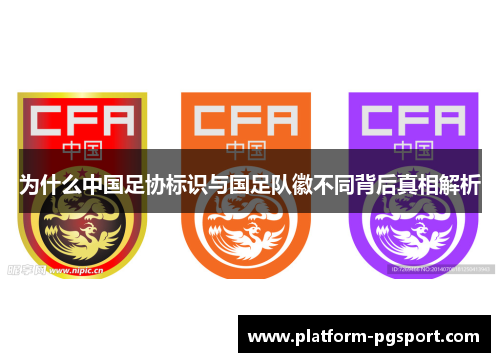 为什么中国足协标识与国足队徽不同背后真相解析