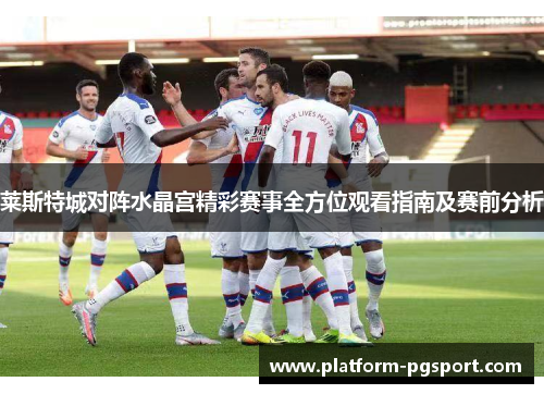 莱斯特城对阵水晶宫精彩赛事全方位观看指南及赛前分析